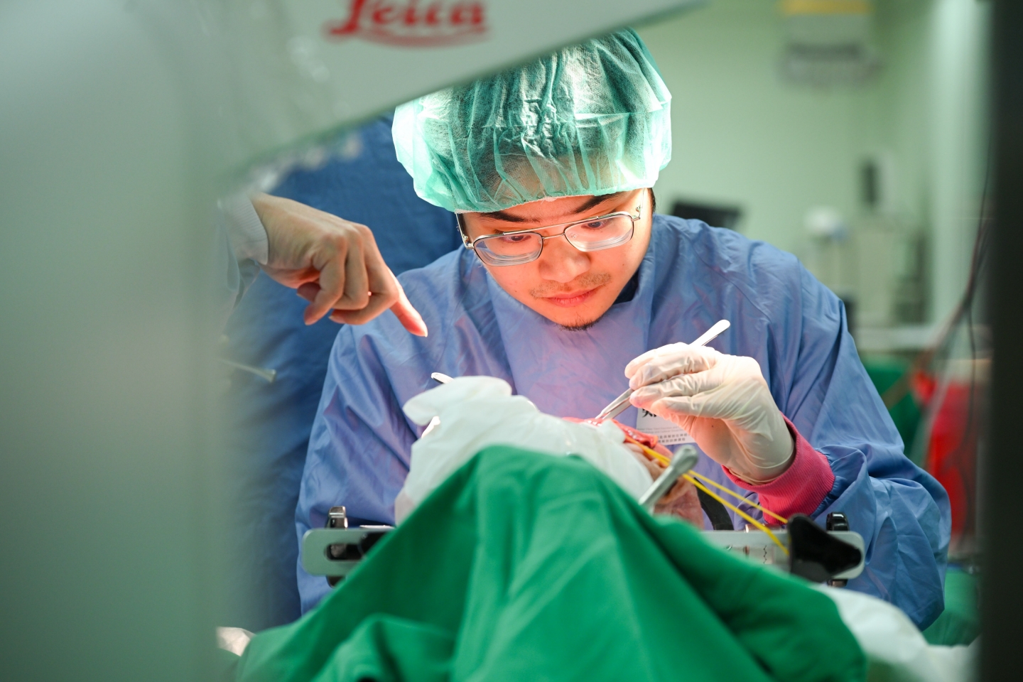 2026 白質纖維束功能與解剖在神經外科的應用 -	3D模擬工作坊暨大體解剖訓練課程