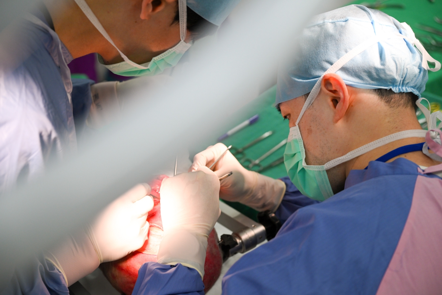 2026 白質纖維束功能與解剖在神經外科的應用 -	3D模擬工作坊暨大體解剖訓練課程