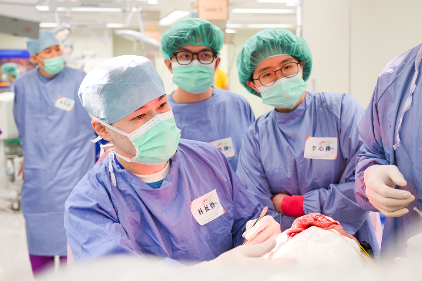 2026 白質纖維束功能與解剖在神經外科的應用 -	3D模擬工作坊暨大體解剖訓練課程